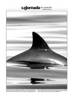 La Jornada de enmedio