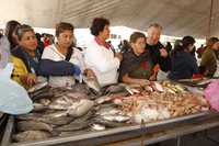 Habitantes de la delegación Gustavo A. Madero se pudieron beneficiar de los precios que ofreció la feria de apoyo