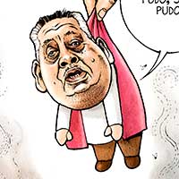 Mostrar el cartón