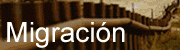 Migraci&oacute;n